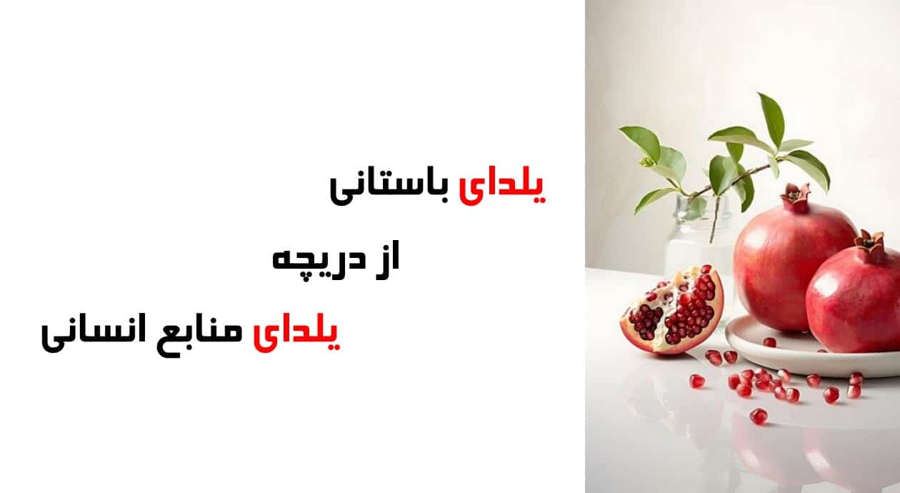 یلدای منابع انسانی